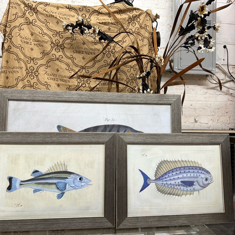 Fish 🐠 art - Picture 2 of 11